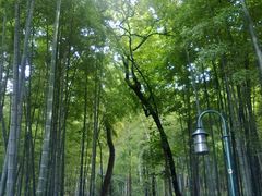 -杭州黄龙洞