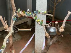 -正佳雨林生态植物园
