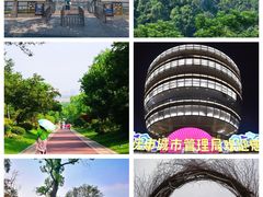 -重庆海昌加勒比海水世界