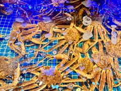 -驻海渔市(置信店)