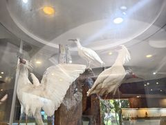 -下渚湖国家湿地公园科普馆