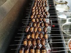 -来自葫芦岛的葫芦娃全碳烧烤