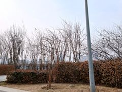 -迎泽公园