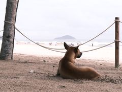 -天程知味园