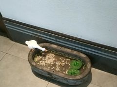 -溪畔•新徽菜(碧湖云溪店)
