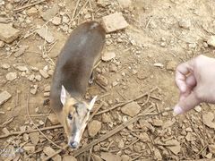 -昆明动物园