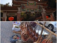 -广州市流溪河国家森林公园