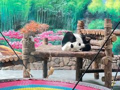 -青藏高原野生动物园