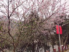 -桃花岭景区