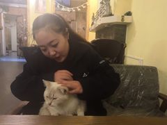-猫色咖啡·猫咖
