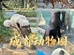 -成都动物园