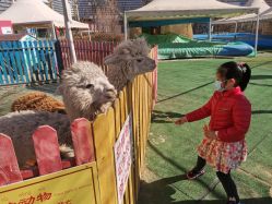 -萌宠亲子动物乐园(槐房万达店)