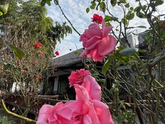 -呼吸森林·生态农庄农家乐私房菜