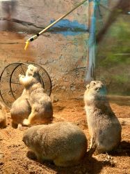 -Zoolung Zoolung动物主题公园(海信广场店)