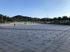 -野狸岛