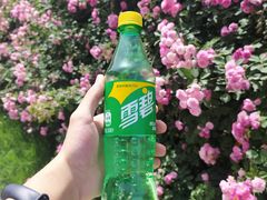 -长安大学(北校区)