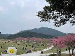 -风云岭森林公园