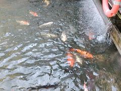 -鹅公村·国家非遗传承(荔湾店)