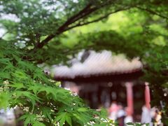 -汇龙潭