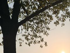 -狼山风景名胜区