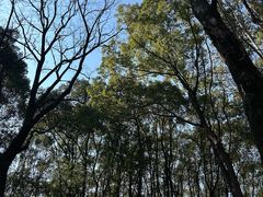 -昆山城市生态森林公园