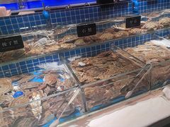 -加餐海鲜自助(集美银泰百货店)