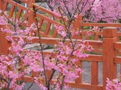 -艾溪湖湿地公园