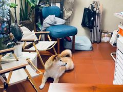 -About Bistro關於·泰式家庭料理