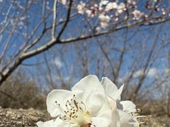 -白水寺森林公园