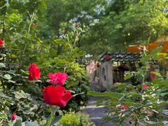 -渭南桃花源民俗文化园