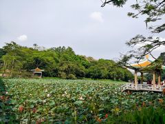 -星湖旅游景区七星岩