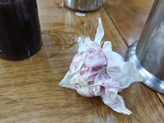 -回坊马二饺子馆