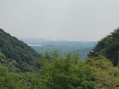 -韬光茶庵