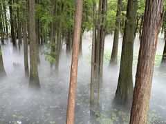-东湖落雁景区