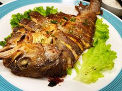 -船歌·鱼水饺青岛菜(合肥路永旺店)