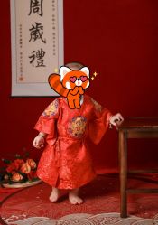 -小熊维尼高端儿童摄影(宝安旗舰店)