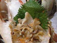 -鲔屋寿喜烧