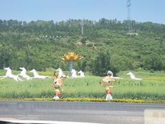 -塞罕坝国家级自然保护区