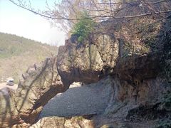 -树山生态村