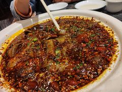 情妹耙泥鳅-情妹耙泥鳅·江湖川菜(科华店)