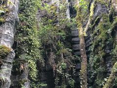 -梭布垭石林景区