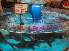 -魏铭鱼头捞饭(晋阳路店)