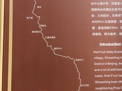 -大岭沟猕猴桃谷风景区