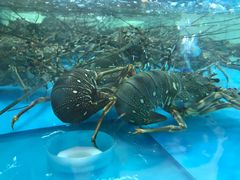 -盒马鲜生(宝地店)