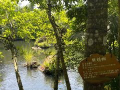 -海口火山口国家地质公园