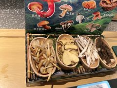 -季季山·云南野生菌火锅(上海首店)