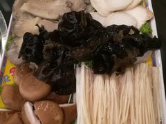 -芦月轩羊蝎子(北蜂窝店)