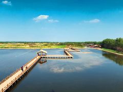 -溱湖国家湿地公园