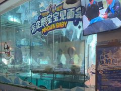 -帝企鹅自助餐厅•儿童岛•真企鹅(长隆企鹅酒店)