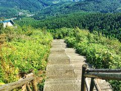 -武陵山森林公园